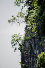 풍경, 사진, 달, 도로,