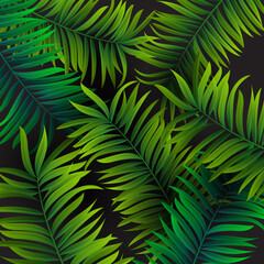 Naklejka premium Tropical palm leaves design for text card. Vector illustration EPS10.