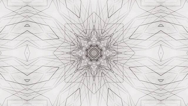 Ethnic patterns on a white background. Black and white looping animation of the mandala. shapes change endlessly	