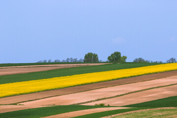 Obraz premium Spring landscape of countryside fields on the hill.