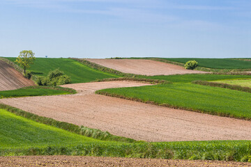Countryside landscape with fields. - 354679579