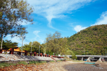 The mangroves are lined up by the sea.