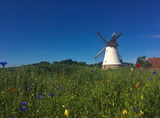 Windmühle auf der grünen wiese