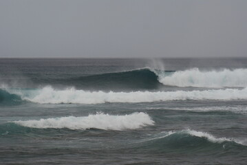 Pacific ocean waves lined up perfectly