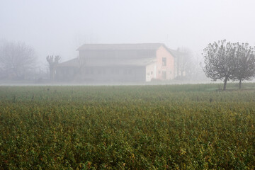 Fototapeta na wymiar Case nella nebbia