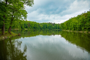 Pond near czech castle Konopiste near Prague, Czech republic