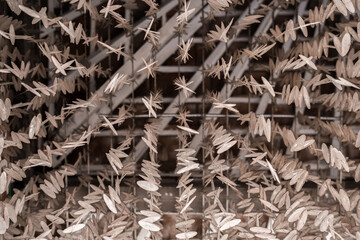 seashells on the ceiling texture