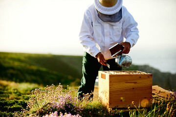 Frames of a bee hive. Beekeeper harvesting honey. The bee smoker is used. Beekeeper checking his...