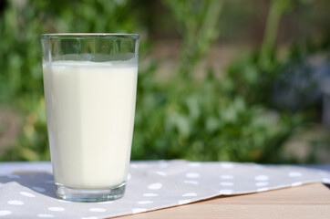 Glass of fresh milk on a background of nature. Milk in a large transparent glass.