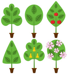 growing fruit tree vector set