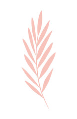 Isolated pink leaves vector design