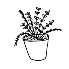 Room flower in a pot. A hand-drawn element in the Doodle style. Isolated object on a white background.House decoration.Vector illustration.