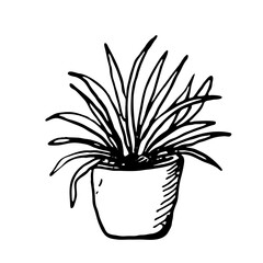 Room flower in a pot. A hand-drawn element in the Doodle style. Isolated object on a white background.House decoration.Vector illustration.