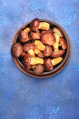 Close Up of edible forest mushrooms in bowl on a blue background. Vegetarian food