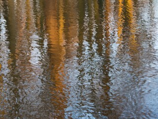 Reflection of trees growing on the bank on the surface of a small river, close-up