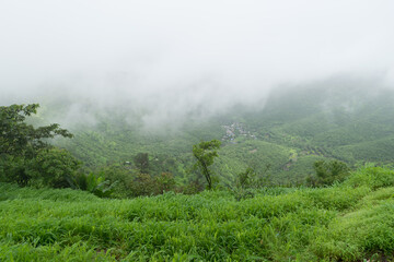 Monsoon trek at Sinhagad Fort, near Pune in India.