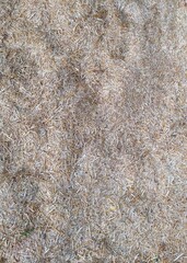 Abstract Wheat grain heads straws thatching in thresher, occurs  texture pattern