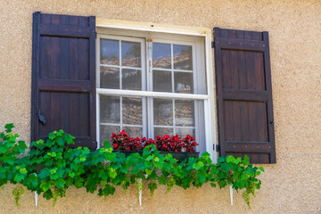 Fototapeta na wymiar Flowering plants on the windowsill in Provence (France)