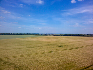 Obraz premium champs au printemps