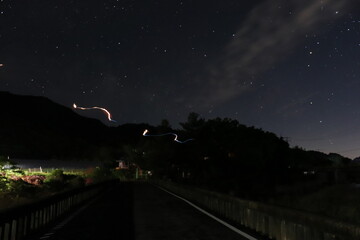 나무, 건물, 곤충, 한옥