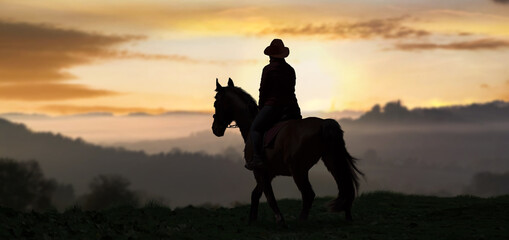 Fototapeta na wymiar a silhouette rider on Horse at sunrise in the background.