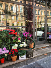 Fototapeta na wymiar St. Petersburg, Russia - May 1, 2020,.Beautiful, bright flower shop window, door and windows with many flowers
