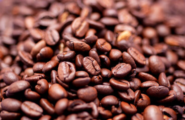 Heap of coffee beans