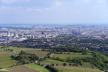 Fototapeta na wymiar Vineyards and Vienna city panormaic view