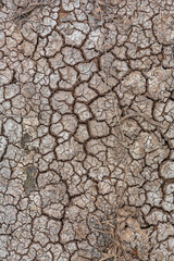 The soil cracked by drought