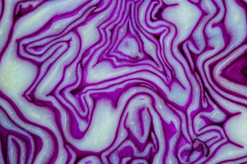 Red cabbage portion macro background