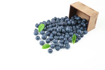 blueberry berries spilled out of wood box isolated on white background
