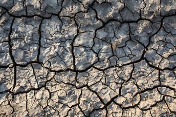 Dry cracked soil in drought time