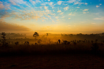 Fototapeta na wymiar Beautiful forest landscape of foggy sunrise in Thung salaeng Luang National Park (Nong Mae na), Thailand