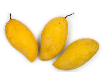 Golden ripe mango on a white background