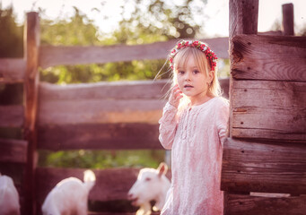 Beautiful little blond child girl posing in a paddock with goats