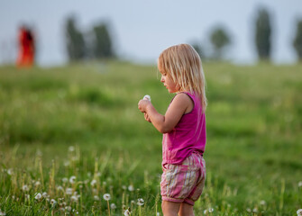 Beautiful child girl blonde walks in the summer in the sun in the green grass