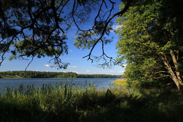 Mikaszewo lake in Augustow Primeval Forest, Suwalki Region in Poland