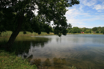 Fototapeta na wymiar Studziennicze lake, Augustow Primeval Forest, Suwalki Region in Poland