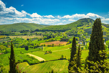 Fototapeta na wymiar Landscape with a cypresses in Val d'Orcia region of Tuscany in spring time, Italy.