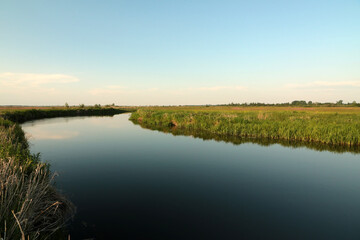 Fototapeta na wymiar Landscape od Biebrza river in Biebrza National Park, Poland