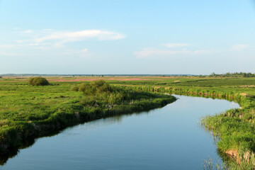 Landscape od Biebrza river in Biebrza National Park, Poland
