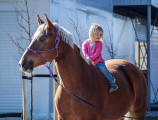 Tender relationship of a little girl and a big beautiful horse