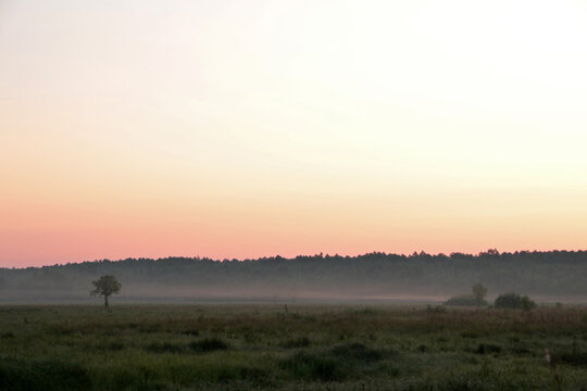 Before the sunrise in Biebrza National Park, Poland © bayazed