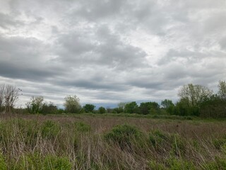Obraz na płótnie Canvas clouds over the field in spring