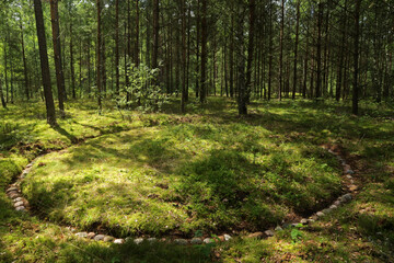 Stone circles near Lesno village in Bory Tucholskie National Park, Poland