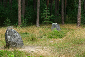 Stone circles near Odry village in Bory Tucholskie National Park, Poland