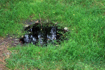 Black pond  - dark and mysterious place near Odry village in Bory Tucholskie National Park 