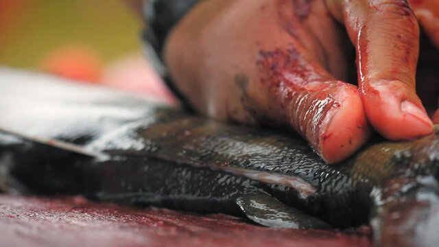 Yukon Territory, Alaska. Close up of a knife opening a salmon on a table.