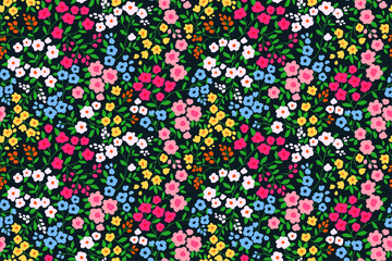 Fototapeta na wymiar Floral pattern. Pretty flowers on black background. Printing with small colorful flowers. Ditsy print. Seamless vector texture. Spring bouquet.