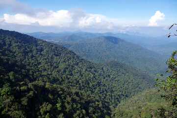 Naklejka premium vue sur les Cameron Highlands, État de Pahang, Malaisie